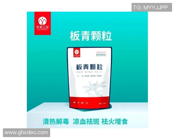 足球防反战术解析与实战应用技巧全面指南